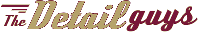 THE DETAIL GUYS LOGO