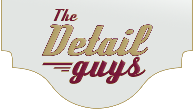 THE DETAIL GUYS LOGO